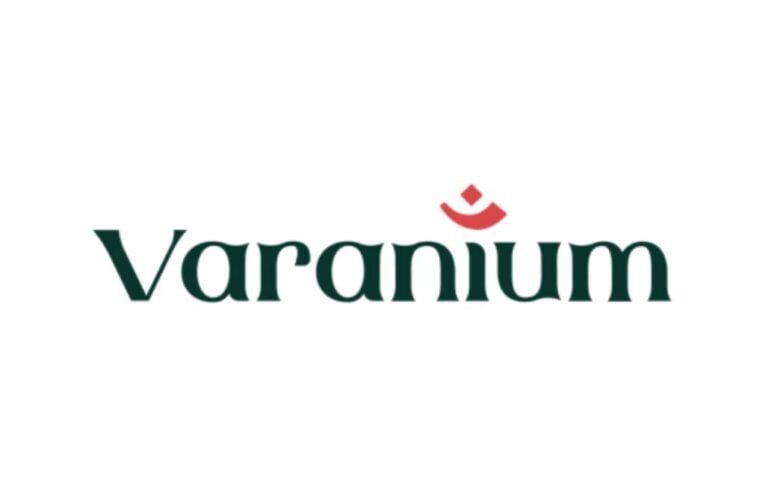 Varanium Cloud Limited posted mammoth earnings in FY2023 with 10 times growth in profits; Declared 1:1 bonus and dividend