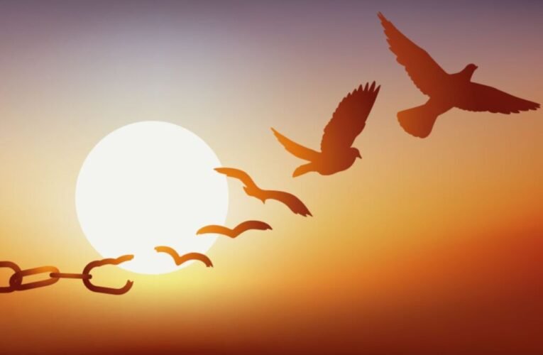 Extrepreneur – a new term for limitless founders