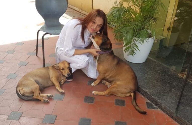 The dumb one is my life, the second home of the dumb dogs is Lucky Mishra’s house